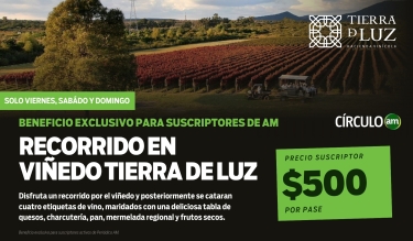 Recorrido y cata de vinos en Tierra de Luz