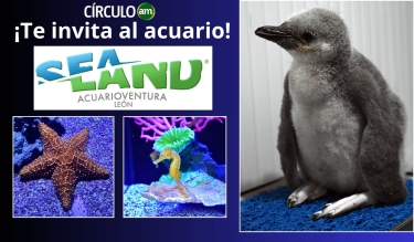 ¡Lánzate al acuario Sealand! - Boletos gratis